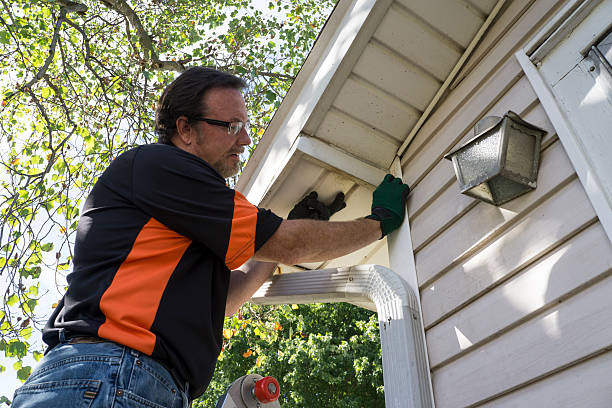 Best Storm Damage Siding Repair  in Olivehurst, CA